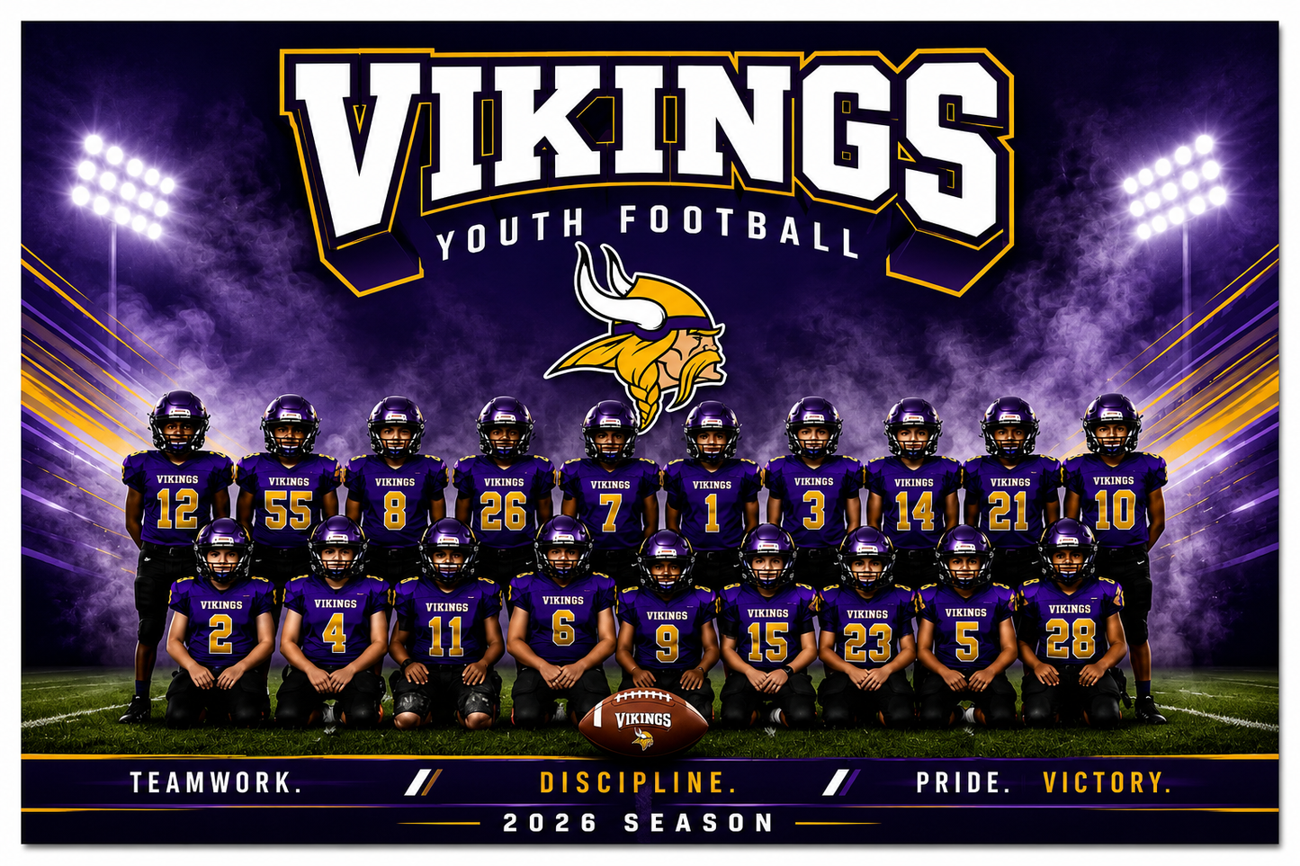 Vikings team poster